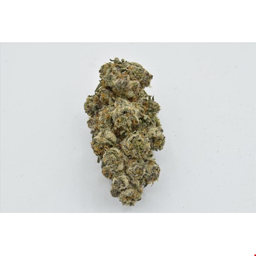 berry passionfruit.jpg